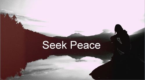Seek-Peace